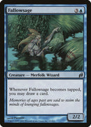 Fallowsage [Lorwyn] - The Mythic Store | 24h Order Processing