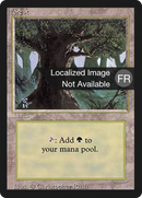 Forest (A) [Foreign Black Border] - The Mythic Store | 24h Order Processing