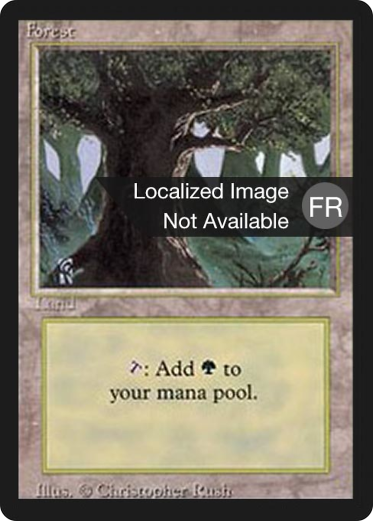 Forest (A) [Foreign Black Border] - The Mythic Store | 24h Order Processing