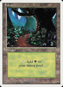 Forest (305) [Summer Magic / Edgar] - The Mythic Store | 24h Order Processing