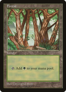 Forest (6) [Asia Pacific Land Program] - The Mythic Store | 24h Order Processing