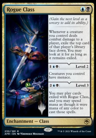 Rogue Class (Promo Pack) [Dungeons & Dragons: Adventures in the Forgotten Realms Promos] - The Mythic Store | 24h Order Processing