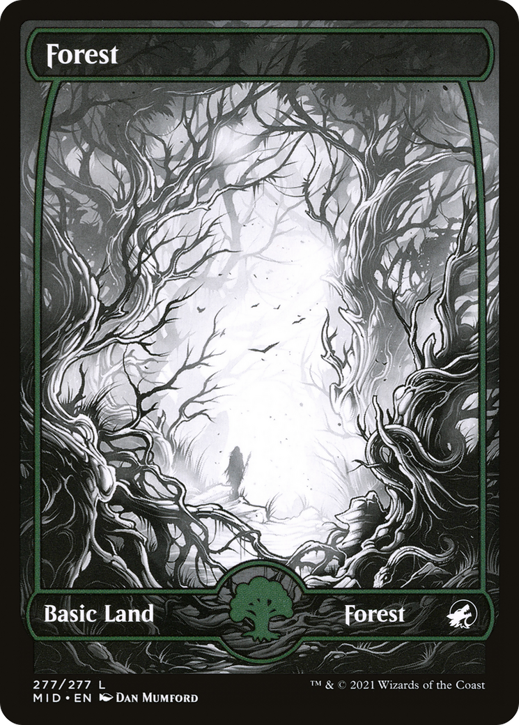 Forest (277) [Innistrad: Midnight Hunt] - The Mythic Store | 24h Order Processing