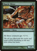 Muscle Sliver [Premium Deck Series: Slivers] - The Mythic Store | 24h Order Processing