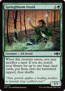 Springbloom Druid [Tarkir: Dragonstorm Commander] - The Mythic Store | 24h Order Processing