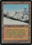 Taiga [Foreign Black Border] - The Mythic Store | 24h Order Processing