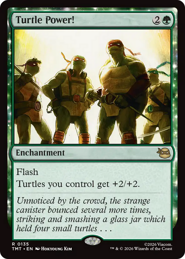 Turtle Power! [Teenage Mutant Ninja Turtles] - The Mythic Store | 24h Order Processing