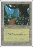 Forest (Flower Path) [Fourth Edition] - The Mythic Store | 24h Order Processing