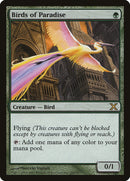 Birds of Paradise [Tenth Edition] - The Mythic Store | 24h Order Processing