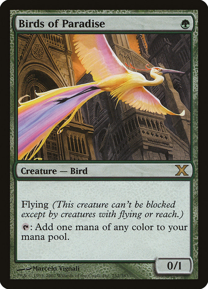 Birds of Paradise [Tenth Edition] - The Mythic Store | 24h Order Processing