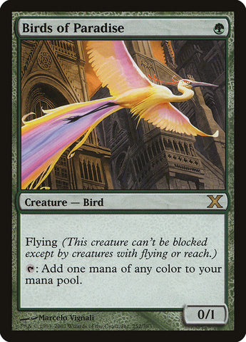 Birds of Paradise [Tenth Edition] - The Mythic Store | 24h Order Processing