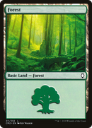 Forest (311) [Commander Anthology Volume II] - The Mythic Store | 24h Order Processing