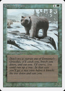 Grizzly Bears [Revised Edition] - The Mythic Store | 24h Order Processing