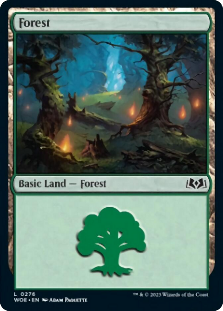 Forest (0276) [Wilds of Eldraine] - The Mythic Store | 24h Order Processing