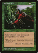 Elven Cache [Visions] - The Mythic Store | 24h Order Processing