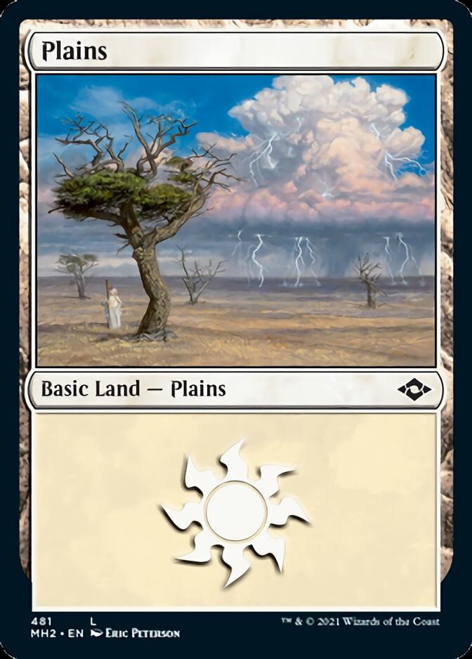 Plains (481) (Foil Etched) [Modern Horizons 2] - The Mythic Store | 24h Order Processing