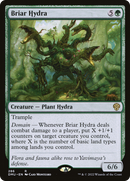 Briar Hydra [Dominaria United] - The Mythic Store | 24h Order Processing