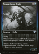 Stormchaser Drake [Innistrad: Double Feature] - The Mythic Store | 24h Order Processing