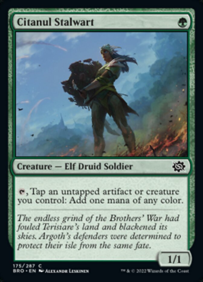 Citanul Stalwart [The Brothers' War] - The Mythic Store | 24h Order Processing