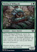 Moldgraf Millipede [Innistrad: Crimson Vow] - The Mythic Store | 24h Order Processing