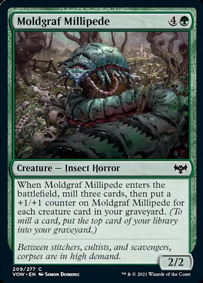 Moldgraf Millipede [Innistrad: Crimson Vow] - The Mythic Store | 24h Order Processing