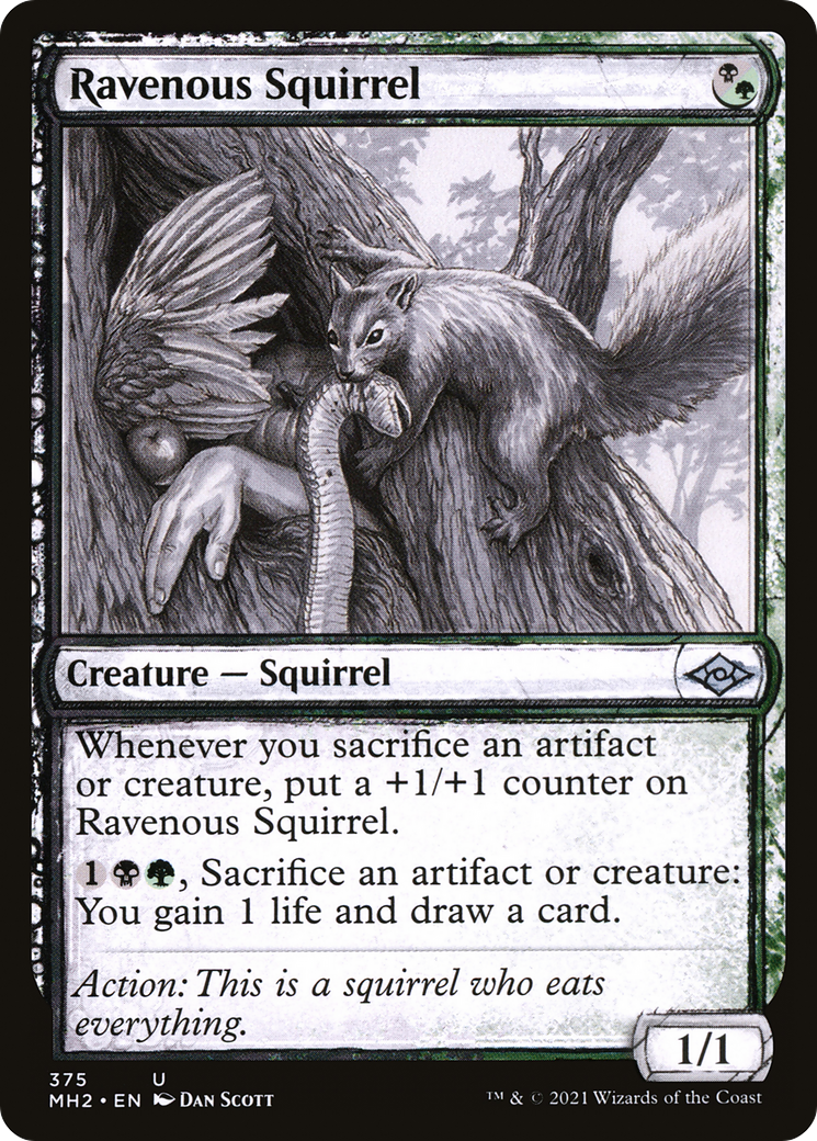 Ravenous Squirrel (Sketch) [Modern Horizons 2] - The Mythic Store | 24h Order Processing