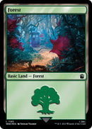 Forest (1165) (Surge Foil) [Doctor Who] - The Mythic Store | 24h Order Processing