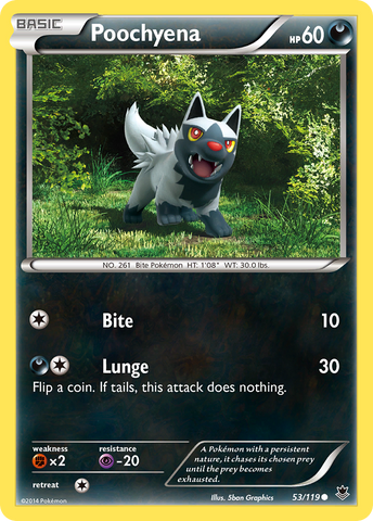 Poochyena (53/119) [XY: Phantom Forces] - The Mythic Store | 24h Order Processing