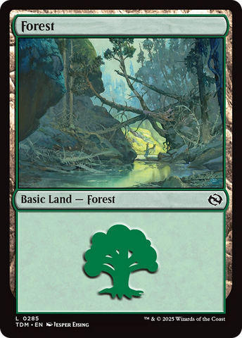 Forest (0285) [Tarkir: Dragonstorm] - The Mythic Store | 24h Order Processing