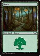 Forest (0286) [Duskmourn: House of Horror] - The Mythic Store | 24h Order Processing