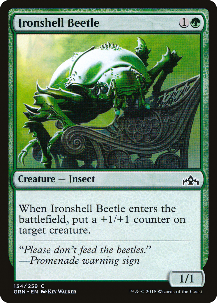 Ironshell Beetle [Guilds of Ravnica] - The Mythic Store | 24h Order Processing