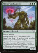 Timberland Ancient [March of the Machine] - The Mythic Store | 24h Order Processing