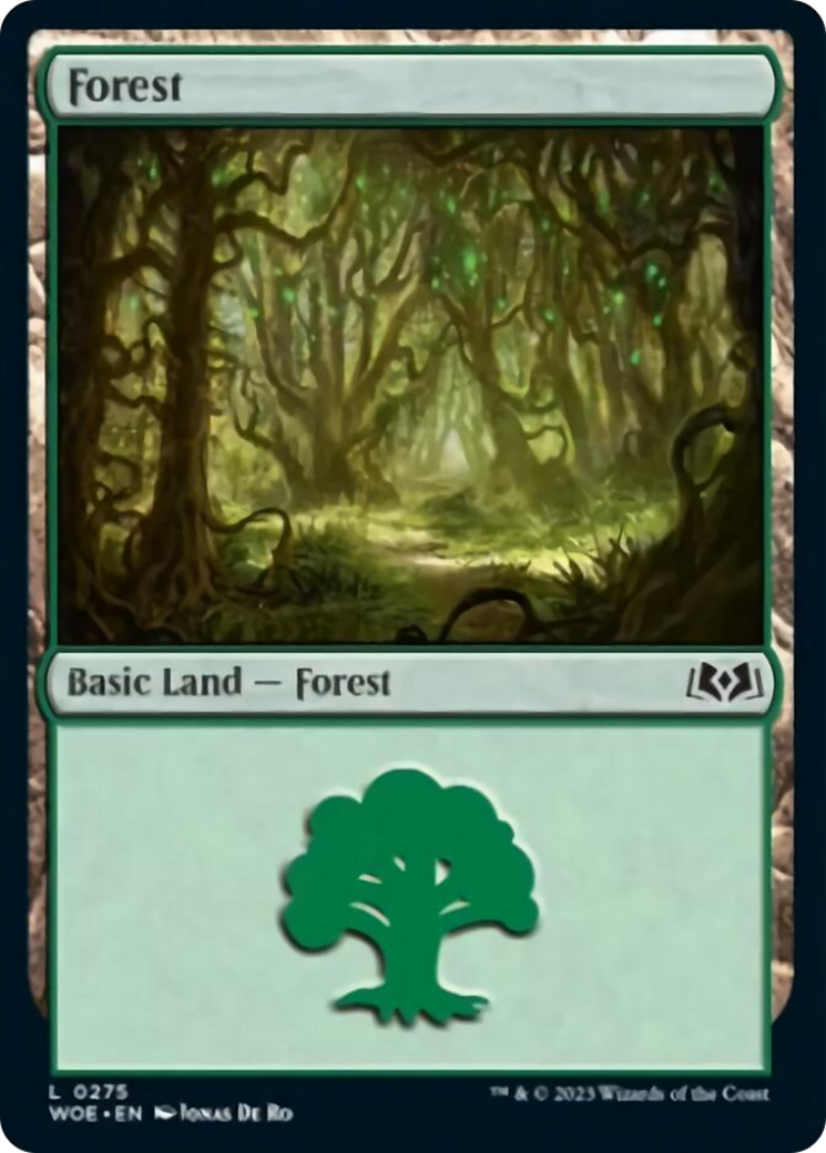 Forest (0275) [Wilds of Eldraine] - The Mythic Store | 24h Order Processing