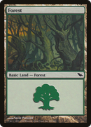 Forest (301) [Shadowmoor] - The Mythic Store | 24h Order Processing