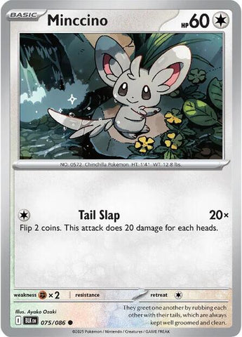 Minccino (075/086) [Scarlet & Violet: Black Bolt] - The Mythic Store | 24h Order Processing