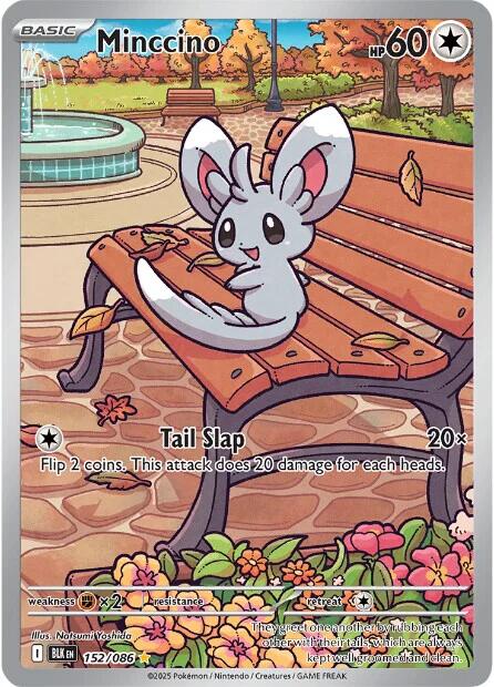 Minccino (152/086) [Scarlet & Violet: Black Bolt] - The Mythic Store | 24h Order Processing