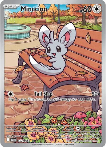 Minccino (152/086) [Scarlet & Violet: Black Bolt] - The Mythic Store | 24h Order Processing