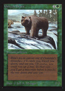 Grizzly Bears [International Collectors' Edition] - The Mythic Store | 24h Order Processing