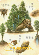 The Lion-Turtle Art Card (Gold-Stamped Signature) [Avatar: The Last Airbender Art Series] - The Mythic Store | 24h Order Processing