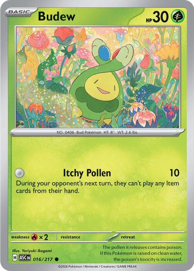 Budew (016/217) [Mega Evolution: Ascended Heroes] - The Mythic Store | 24h Order Processing