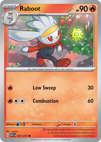 Raboot (037/217) [Mega Evolution: Ascended Heroes] - The Mythic Store | 24h Order Processing