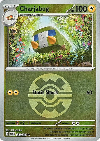Charjabug (065/217) (Quick Ball) [Mega Evolution: Ascended Heroes] - The Mythic Store | 24h Order Processing