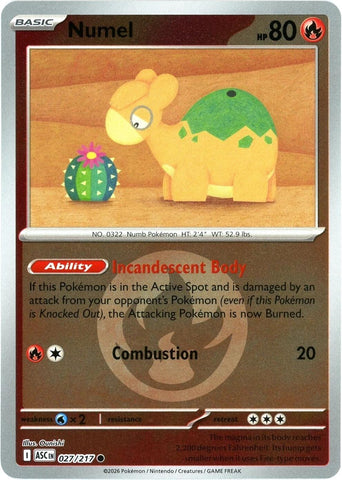 Numel (027/217) (Energy Symbol Pattern) [Mega Evolution: Ascended Heroes] - The Mythic Store | 24h Order Processing