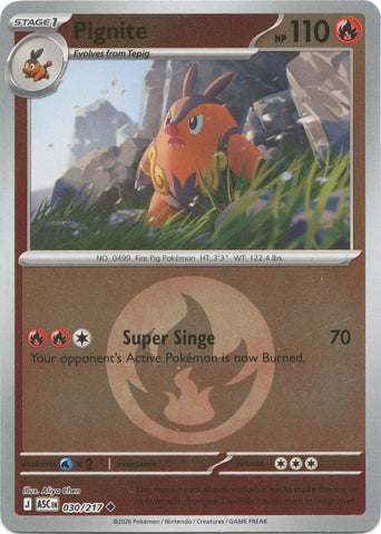 Pignite (030/217) (Energy Symbol Pattern) [Mega Evolution: Ascended Heroes] - The Mythic Store | 24h Order Processing