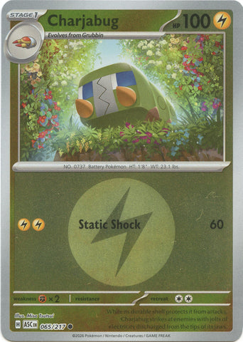 Charjabug (065/217) (Energy Symbol Pattern) [Mega Evolution: Ascended Heroes] - The Mythic Store | 24h Order Processing