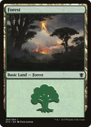 Forest (264) [Dragons of Tarkir] - The Mythic Store | 24h Order Processing