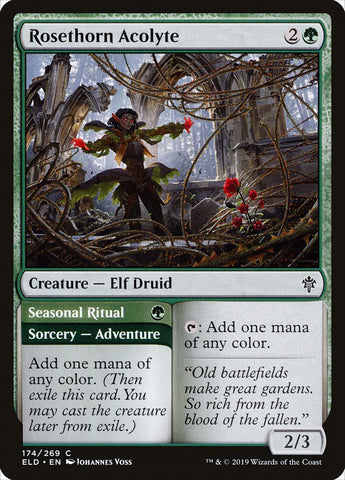 Rosethorn Acolyte // Seasonal Ritual [Throne of Eldraine] - The Mythic Store | 24h Order Processing