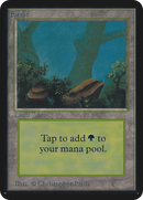 Forest (294) [Alpha Edition] - The Mythic Store | 24h Order Processing