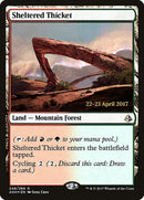 Sheltered Thicket [Amonkhet Prerelease Promos] - The Mythic Store | 24h Order Processing
