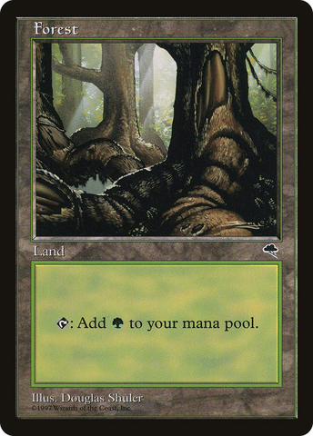 Forest (Large Roots) [Tempest] - The Mythic Store | 24h Order Processing